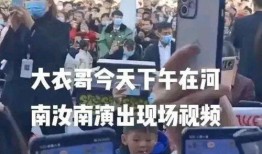 媒体爆料陈亚楠事件视频,真相与争议交织