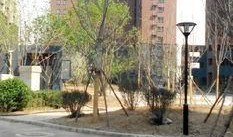 吉碳小区爆料视频最新,揭秘小区内幕，真相令人震惊！